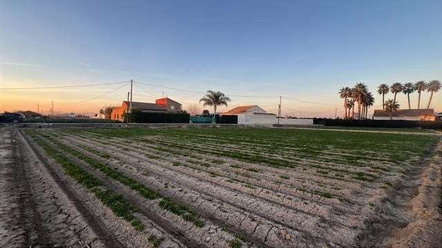 House in La Florida - Image 2