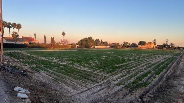 House in La Florida - Image 4