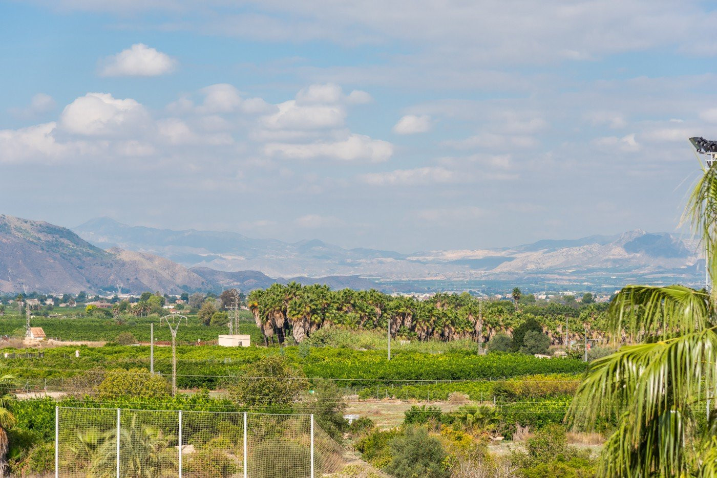 Apartment in Jacarilla - Image 3