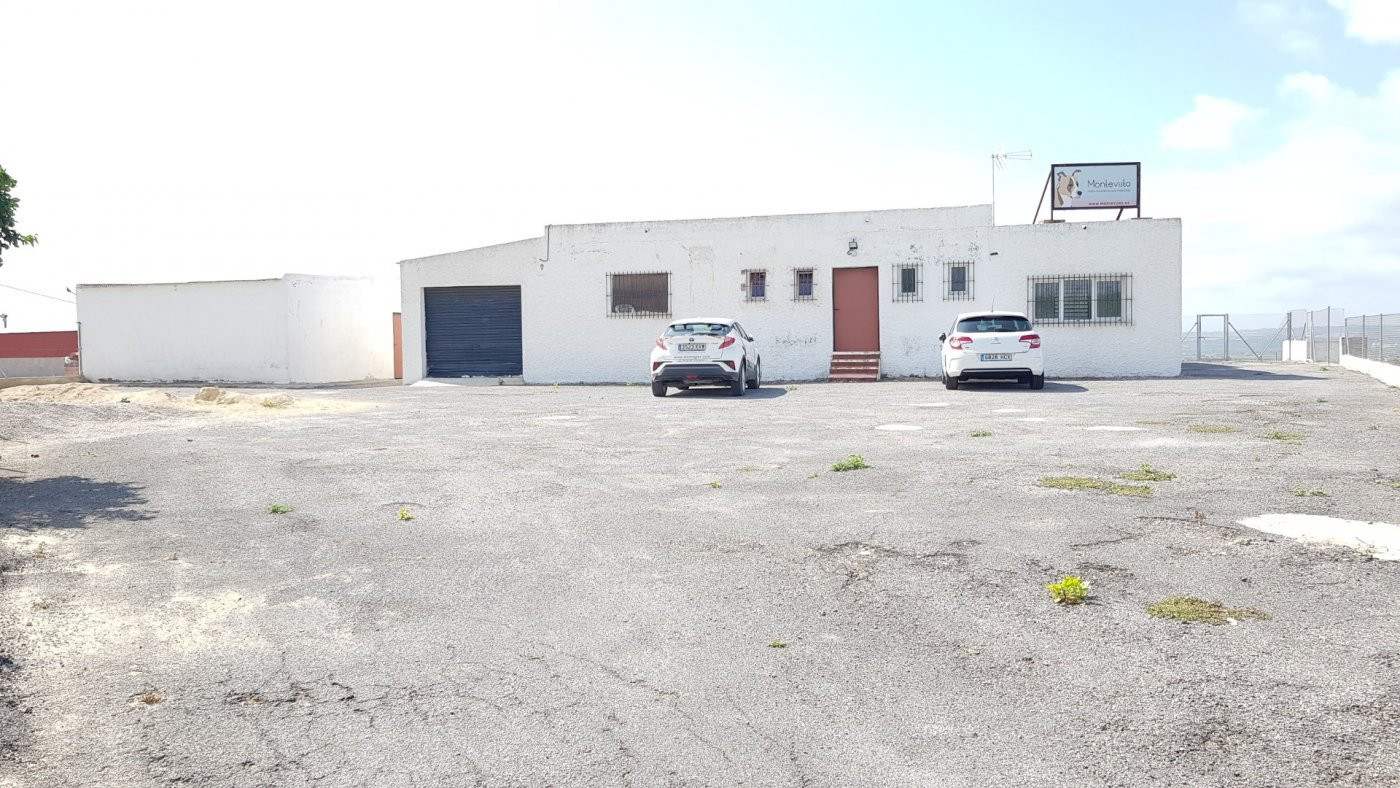 Farm, Ranch or Equestrian in Los Montesinos - Image 4