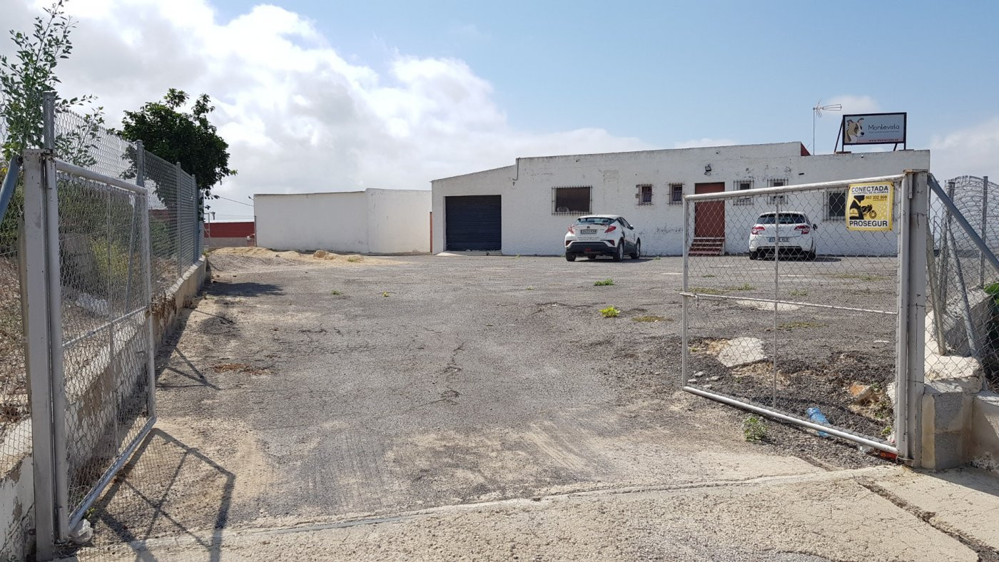 Farm, Ranch or Equestrian in Los Montesinos - Image 5