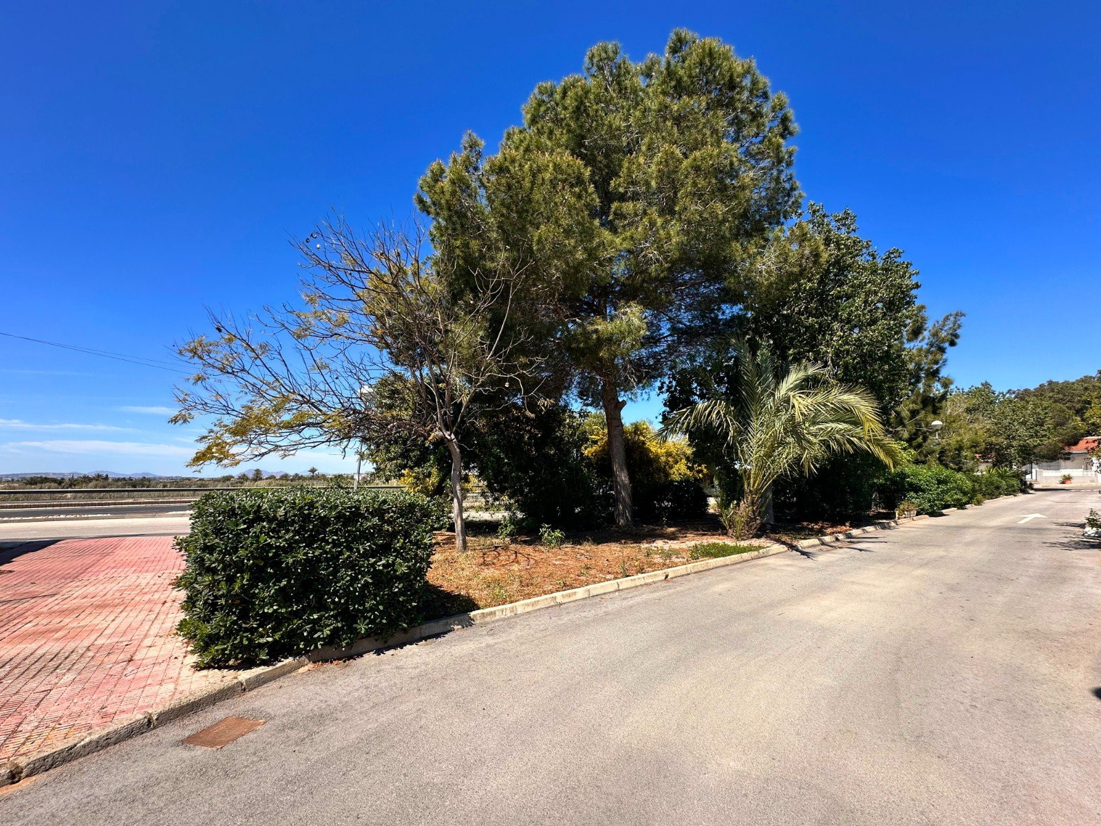 House in Guardamar del Segura - Image 3