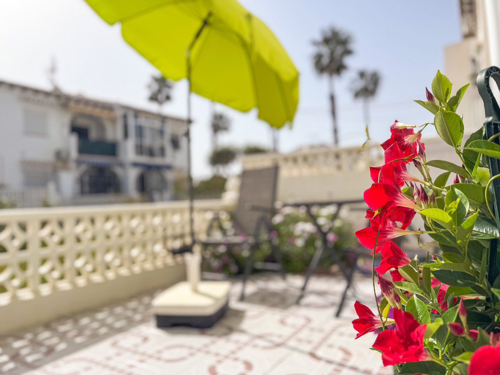 House in Urbanizacion los Balcones - Image 3