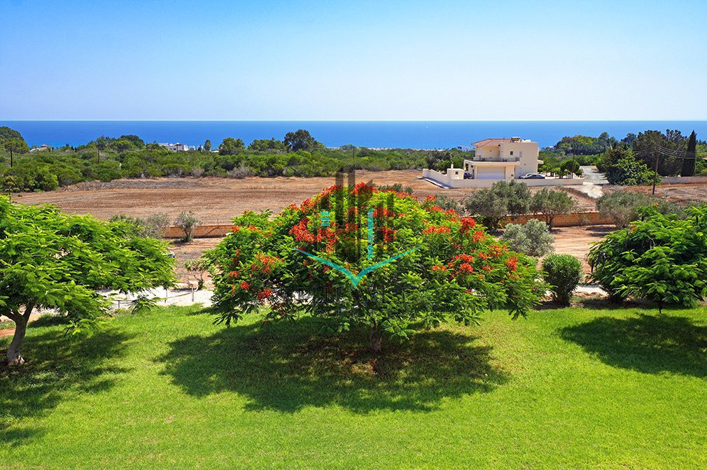 Villa in Ayia Napa - Image 4