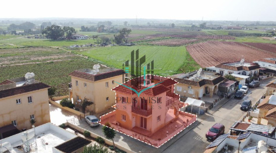 House in Liopetri - Image 3