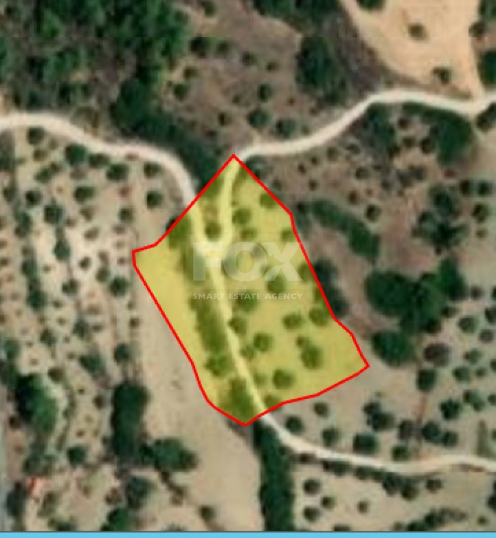 Land For Sale In Lysos Paphos Cyprus