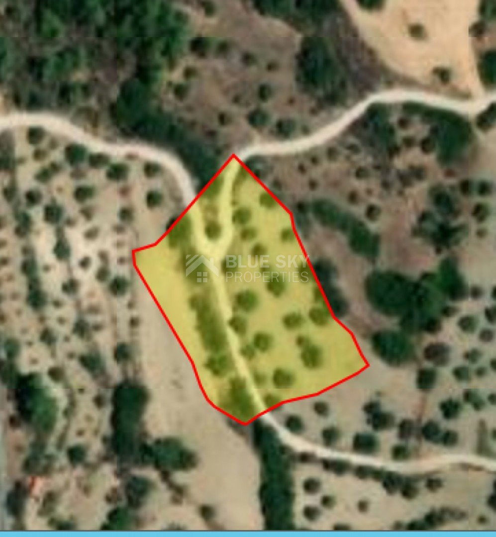 Land For Sale In Lysos Paphos Cyprus