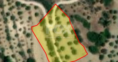 Land For Sale In Lysos Paphos Cyprus