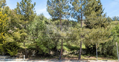 Land For Sale In Arsos Lemesou Limassol Cyprus