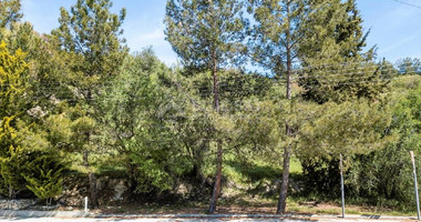 Land For Sale In Arsos Lemesou Limassol Cyprus