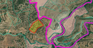 Land For Sale In Agios Mamas Limassol Cyprus