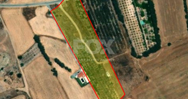 Land For Sale In Kouklia Pafou Paphos Cyprus