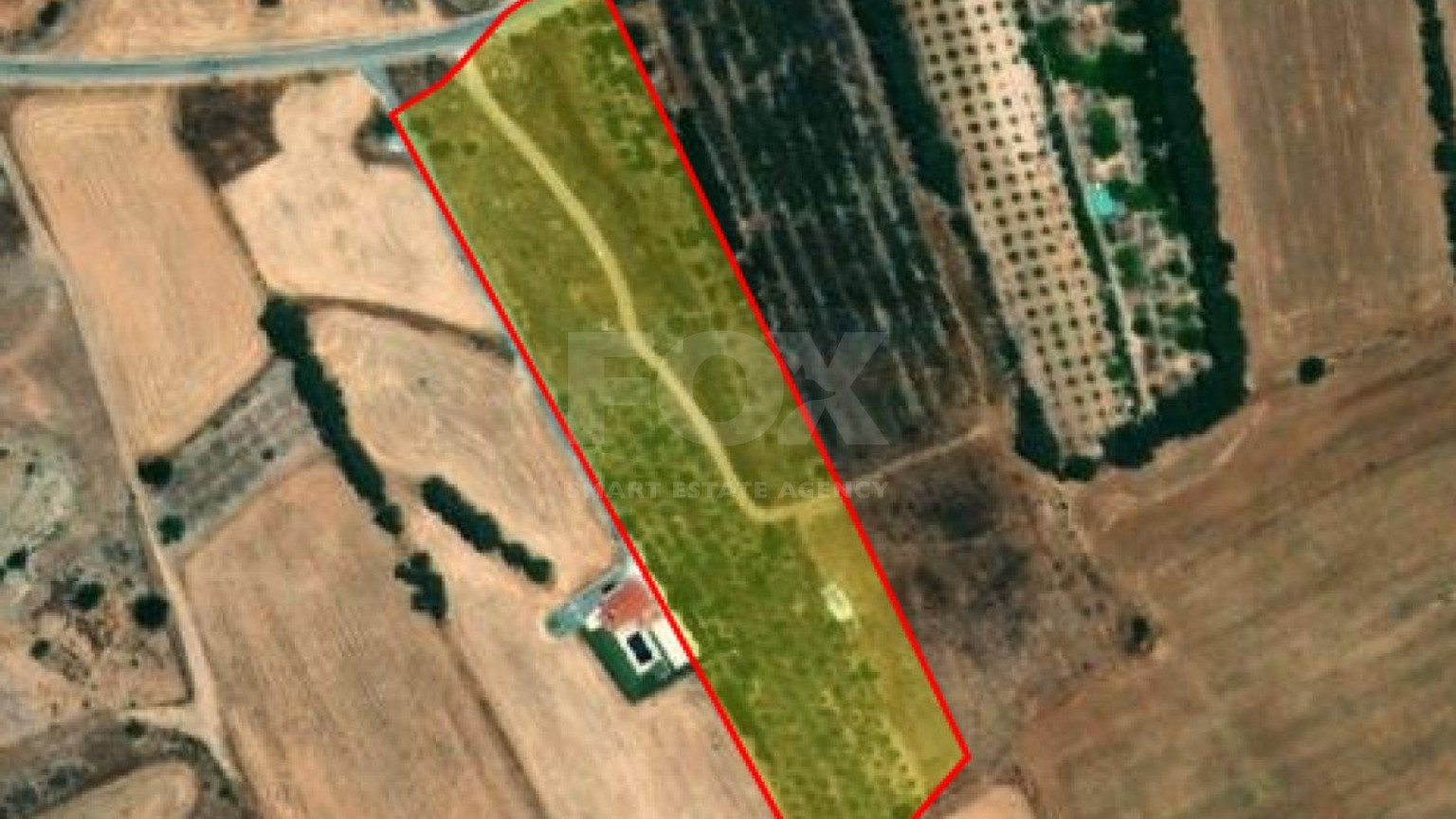 Land For Sale In Kouklia Pafou Paphos Cyprus