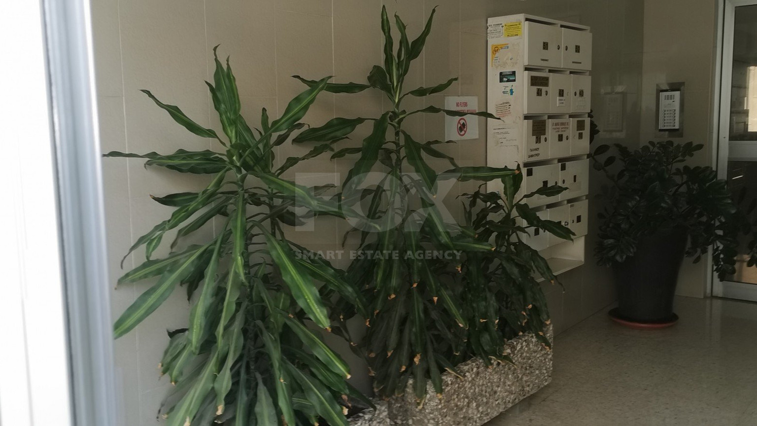 Office To Rent In Agia Zoni Limassol Cyprus