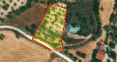 Land For Sale In Milia Pafou Paphos Cyprus