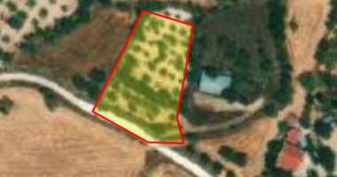 Land For Sale In Milia Pafou Paphos Cyprus