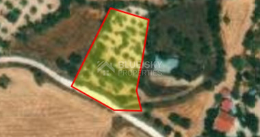 Land For Sale In Milia Pafou Paphos Cyprus