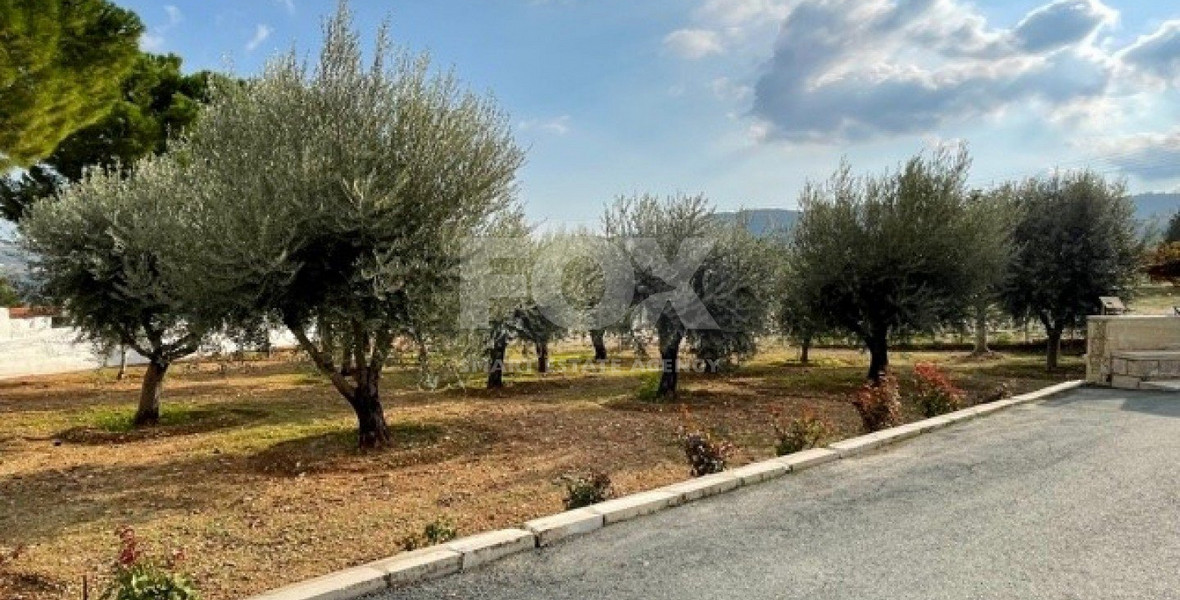 3 Bed House For Sale In Agios Georgios Silikou Limassol Cyprus