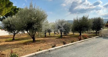 3 Bed House For Sale In Agios Georgios Silikou Limassol Cyprus