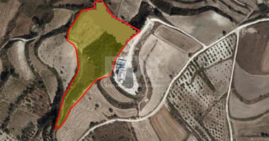 Land For Sale In Stroumpi Paphos Cyprus