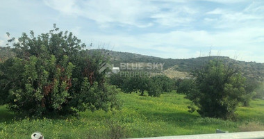 Land For Sale In Paramytha Limassol Cyprus