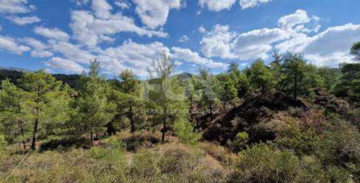 Land For Sale In Kato Platres Limassol Cyprus