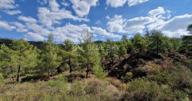 Land For Sale In Kato Platres Limassol Cyprus