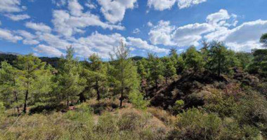 Land For Sale In Kato Platres Limassol Cyprus