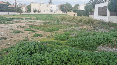 Plot For Sale In Potamos Germasogeias Limassol Cyprus