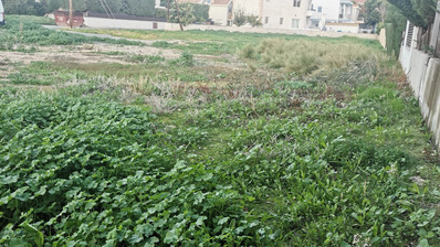 Plot For Sale In Potamos Germasogeias Limassol Cyprus