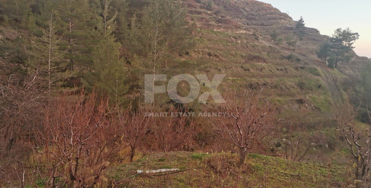 Land For Sale In Dymes Limassol Cyprus