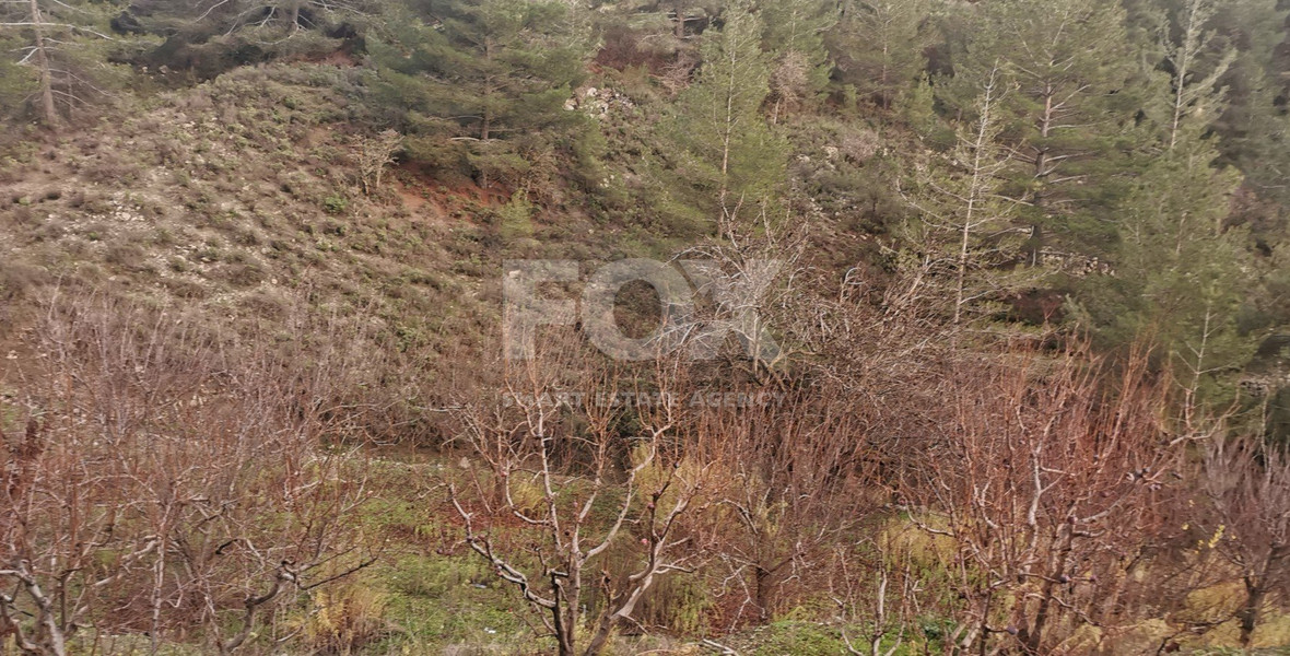 Land For Sale In Dymes Limassol Cyprus