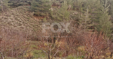 Land For Sale In Dymes Limassol Cyprus