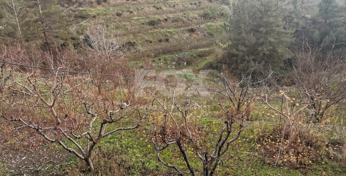 Land For Sale In Dymes Limassol Cyprus