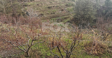 Land For Sale In Dymes Limassol Cyprus