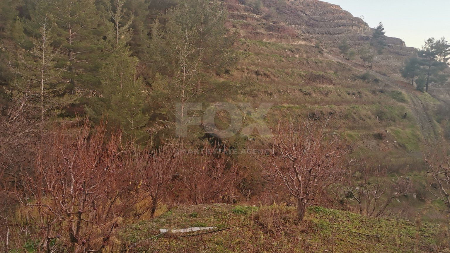 Land For Sale In Dymes Limassol Cyprus