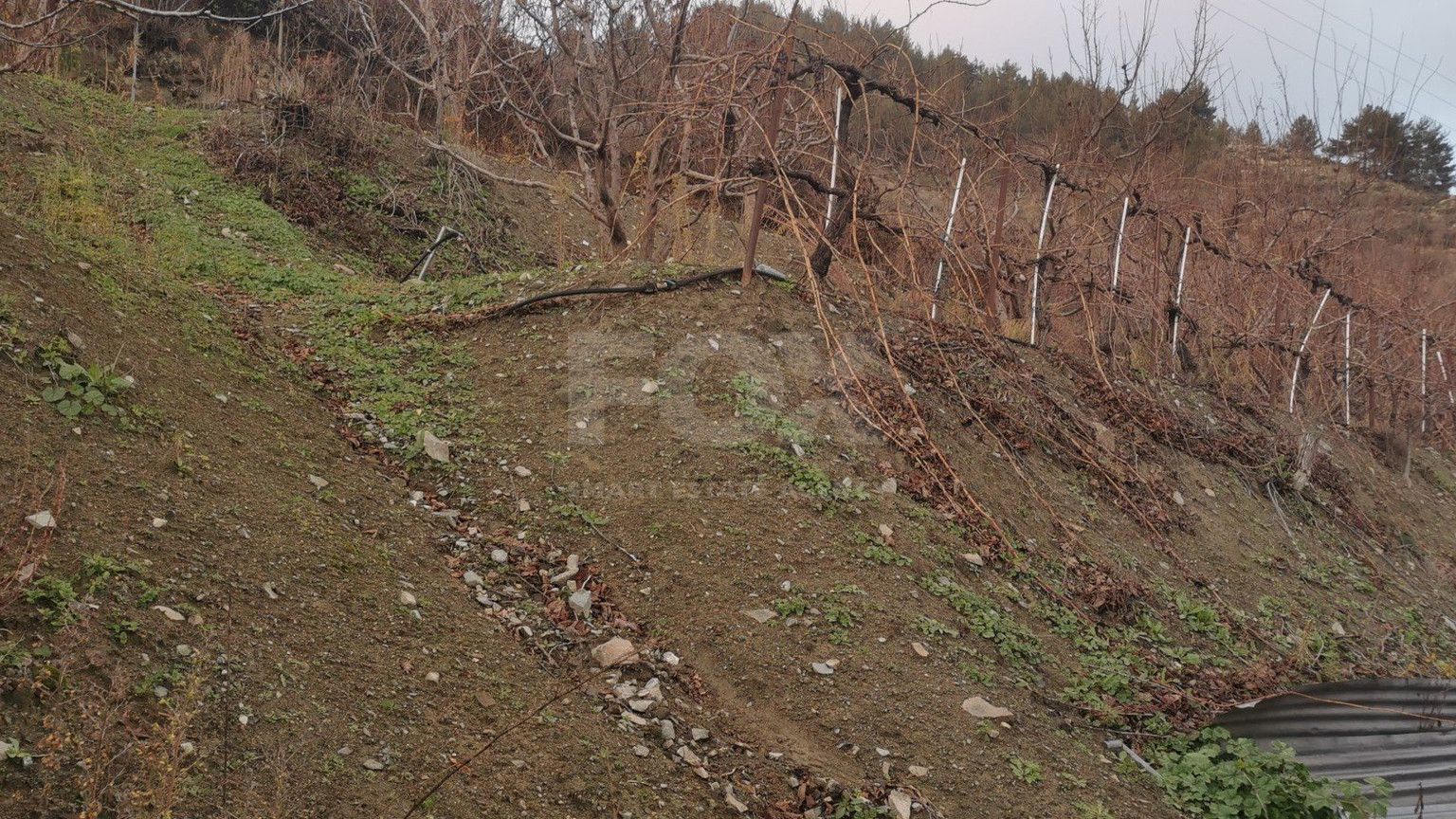 Land For Sale In Dymes Limassol Cyprus