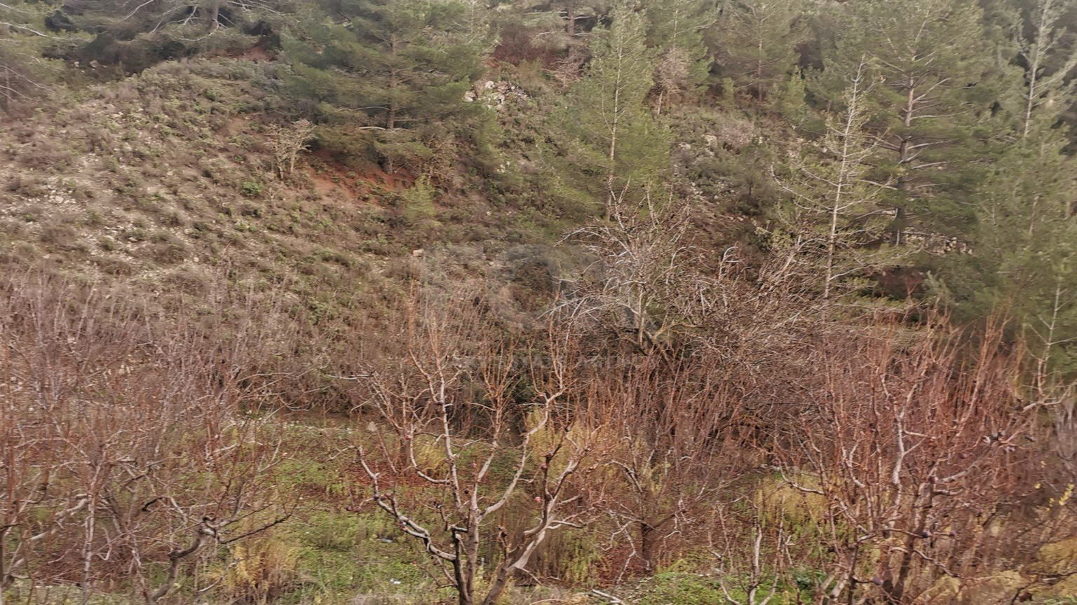 Land For Sale In Dymes Limassol Cyprus