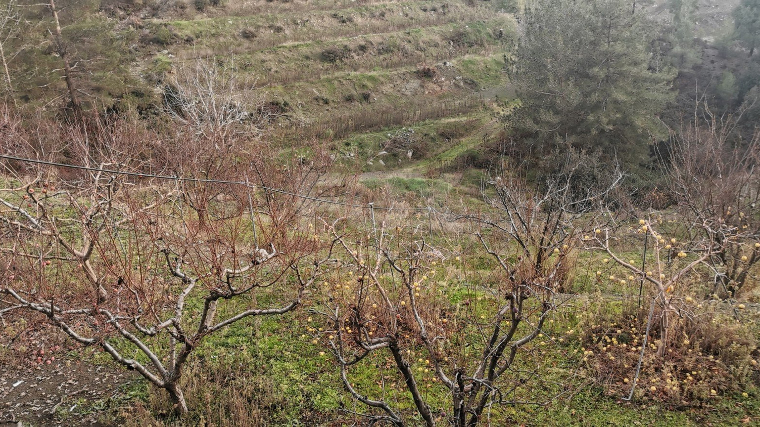 Land For Sale In Dymes Limassol Cyprus