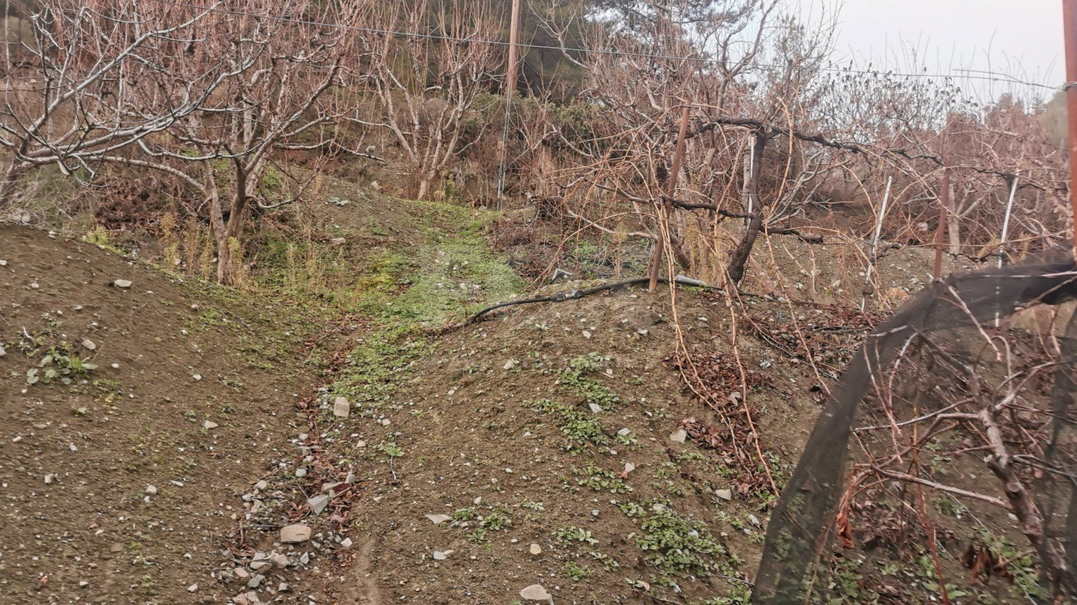 Land For Sale In Dymes Limassol Cyprus