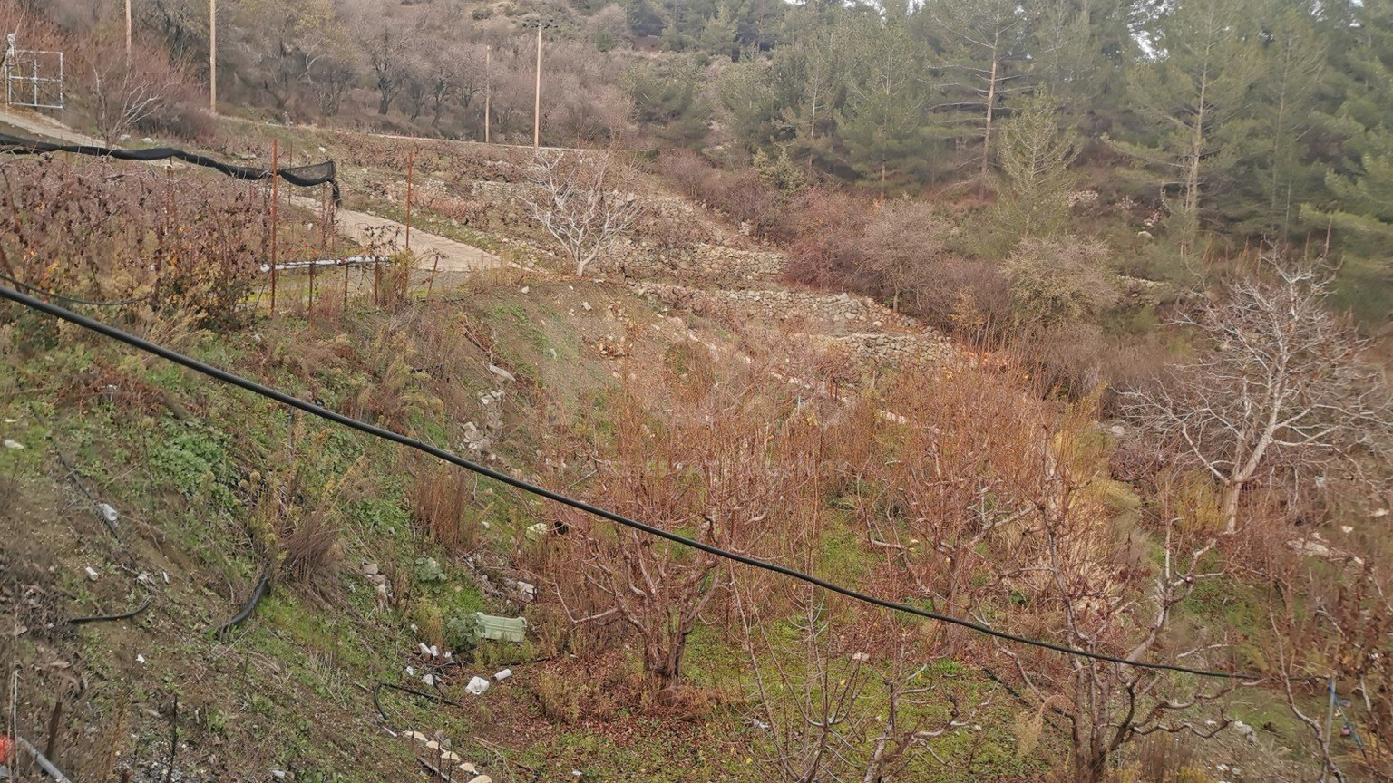 Land For Sale In Dymes Limassol Cyprus