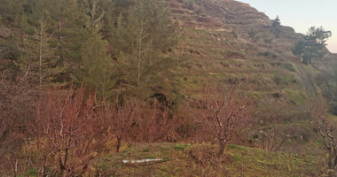 Land For Sale In Dymes Limassol Cyprus