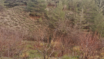 Land For Sale In Dymes Limassol Cyprus