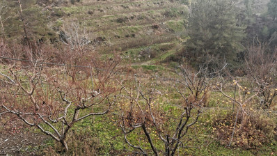 Land For Sale In Dymes Limassol Cyprus