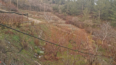 Land For Sale In Dymes Limassol Cyprus