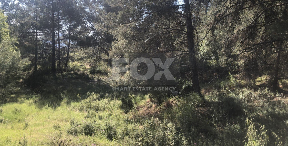 Land For Sale In Pera Pedi Limassol Cyprus