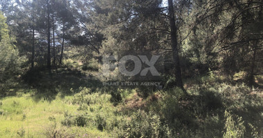 Land For Sale In Pera Pedi Limassol Cyprus