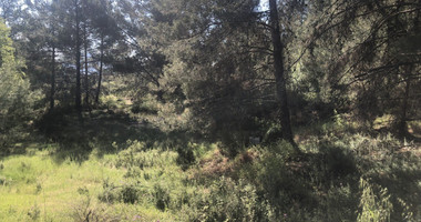 Land For Sale In Pera Pedi Limassol Cyprus