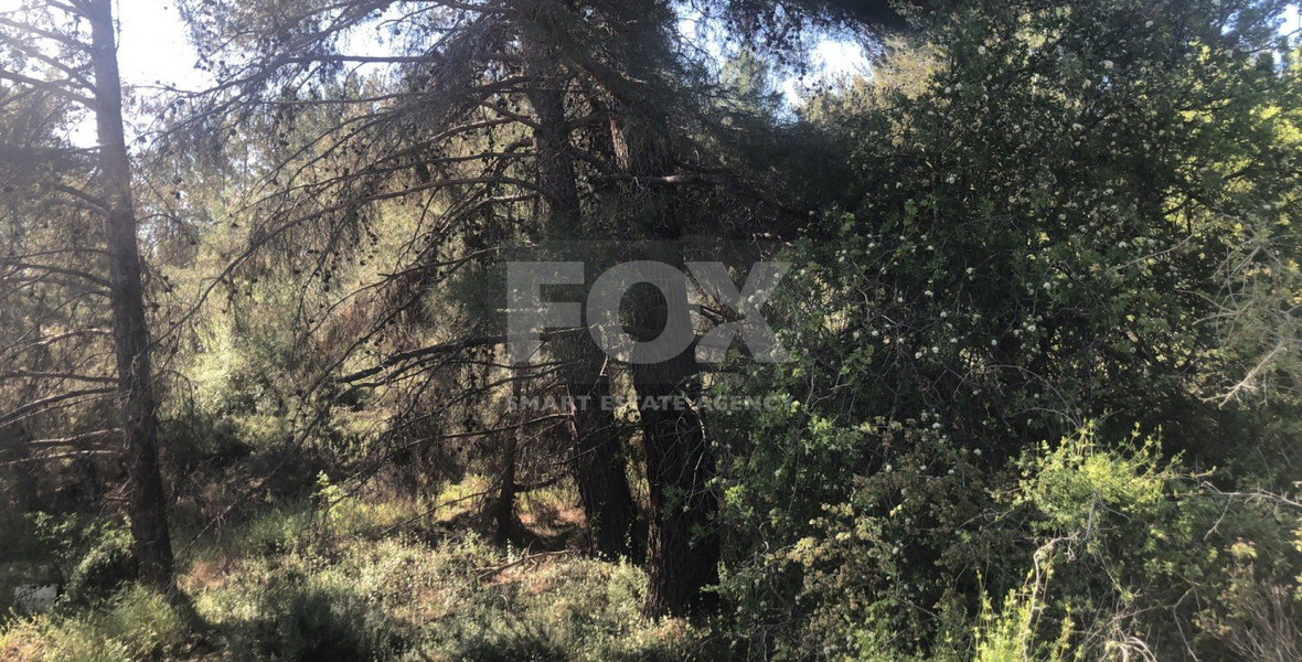 Land For Sale In Pera Pedi Limassol Cyprus