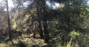 Land For Sale In Pera Pedi Limassol Cyprus